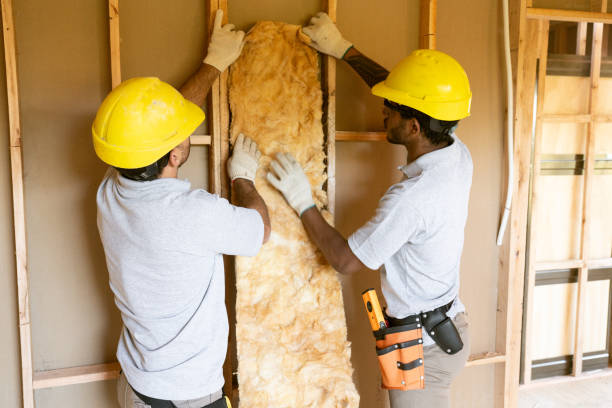 Types of Insulation We Offer in Bartow, FL